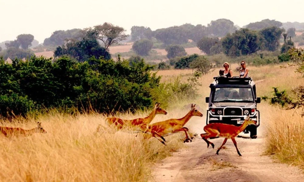 queen-elizabeth-national-park1 queen-elizabeth-national-park1
