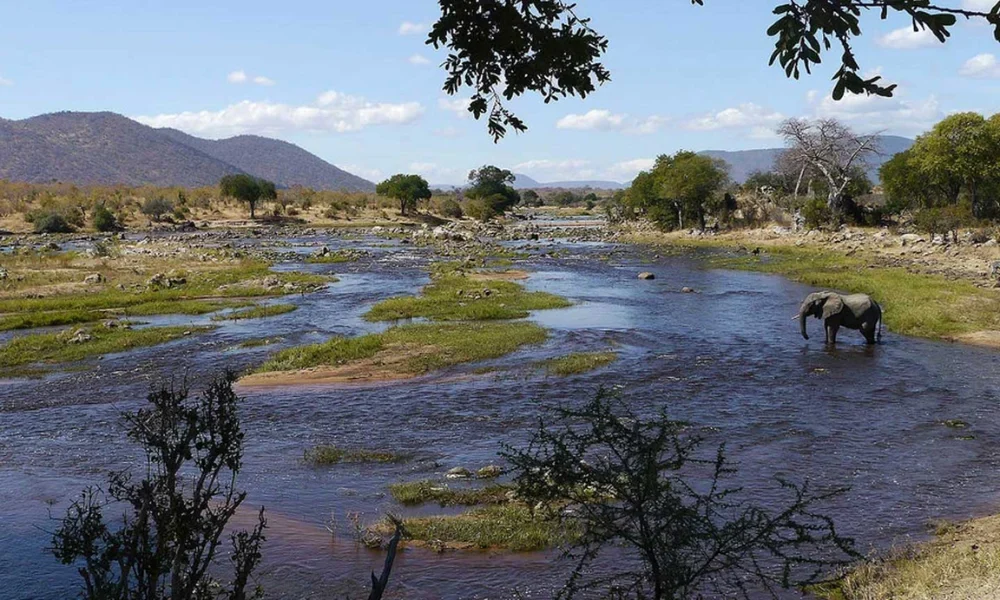ruaha-national-park1 ruaha-national-park1