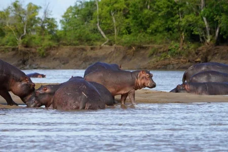 saadani-national-park2