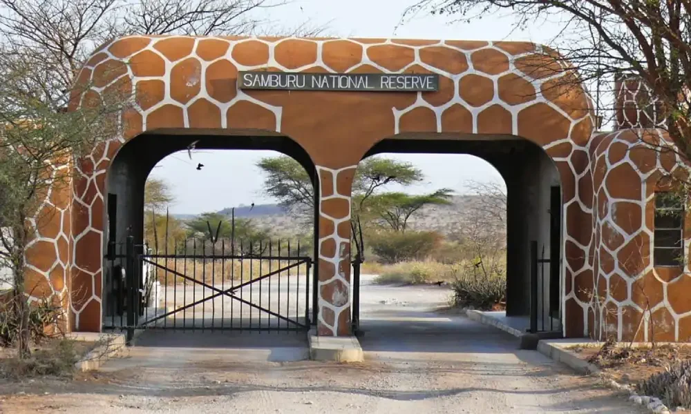 samburu-national-reserve-4 samburu-national-reserve-4