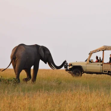 things-to-do-in-kenya