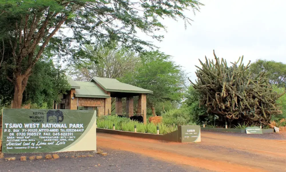 tsavo-west-national-park-4 tsavo-west-national-park-4