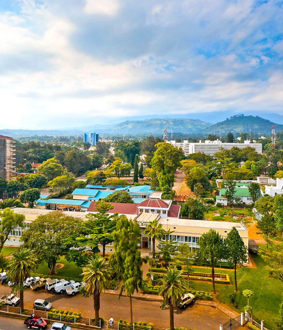 Arusha City View
