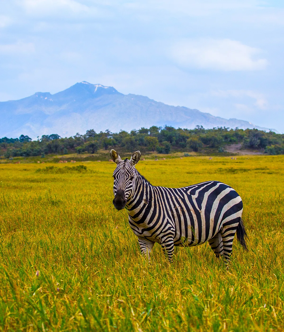 Manyara NP - Arusha Attractions