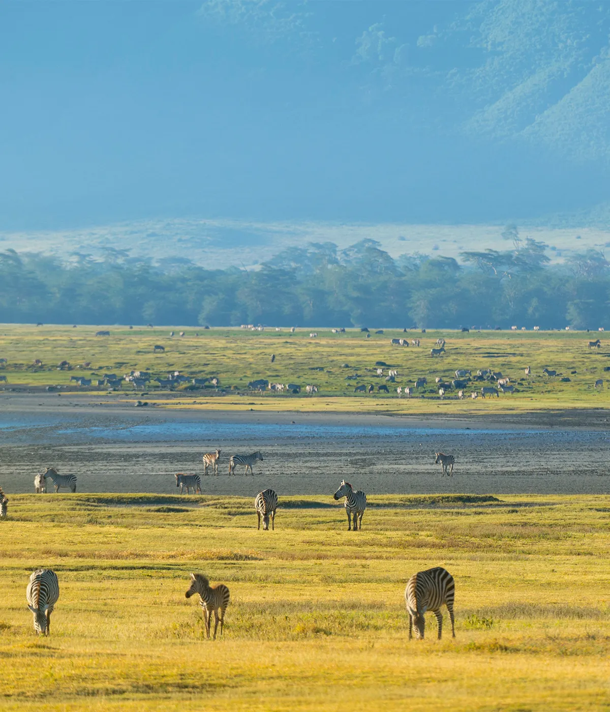 Ngorongoro Crater Attractions