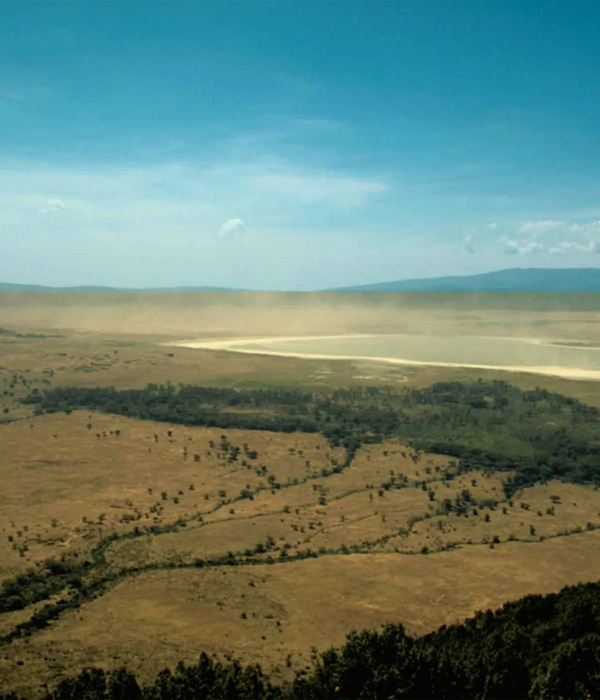 Ngorongoro Crater Scene viewing