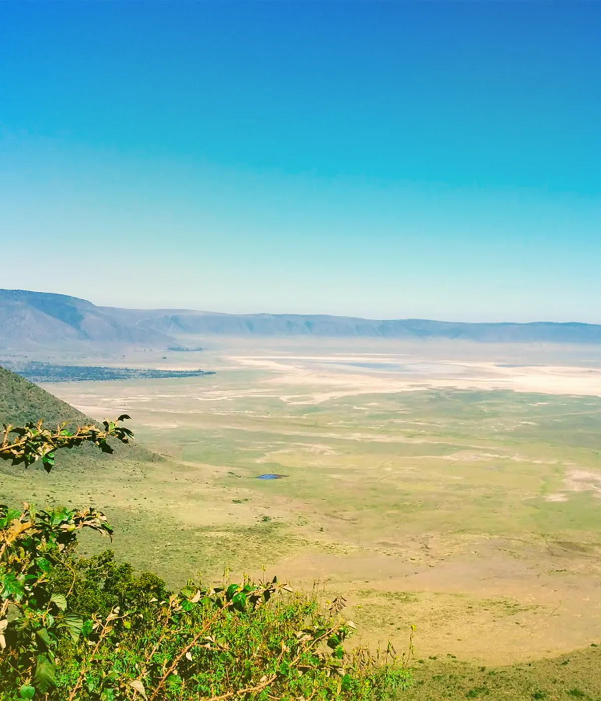 Ngorongoro Crater