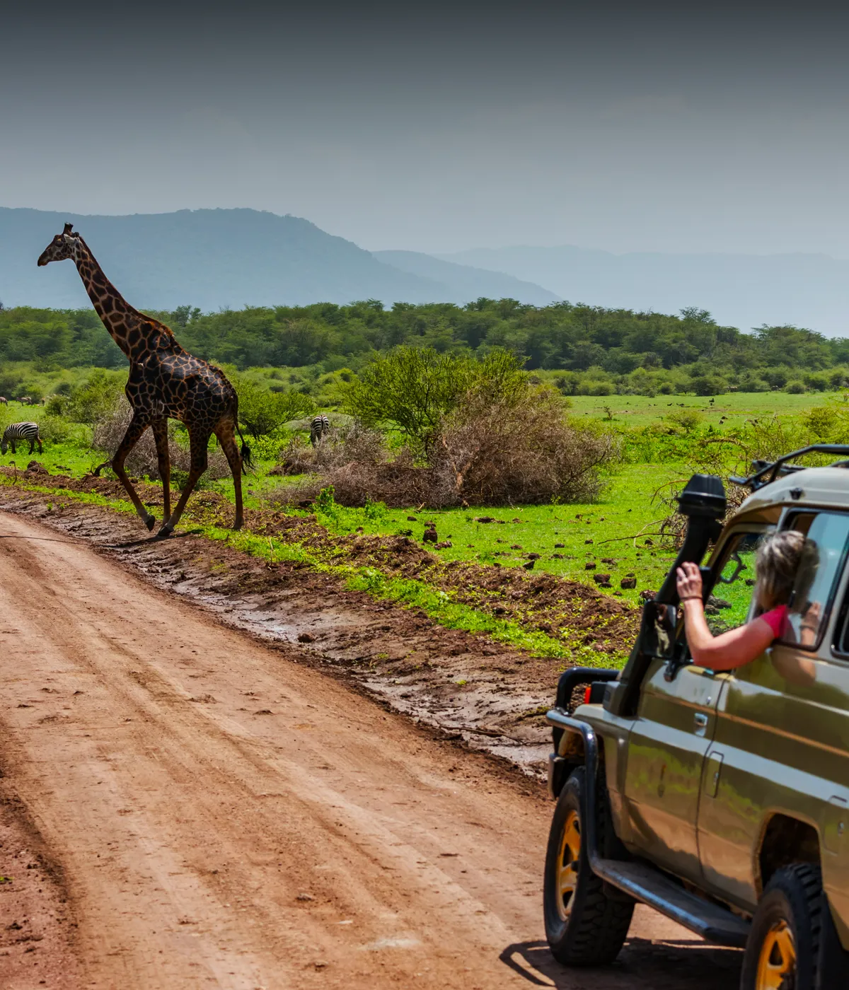 Arusha- Serengeti Attractions