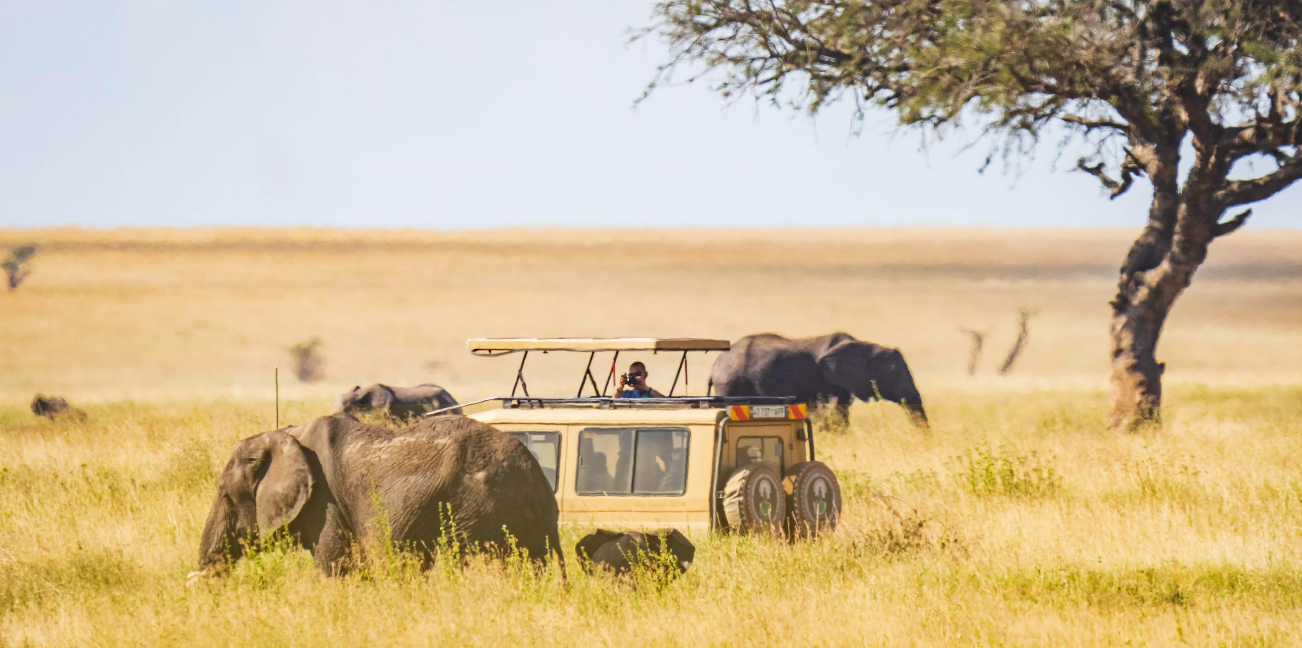3 Days Tanzania Private Safari