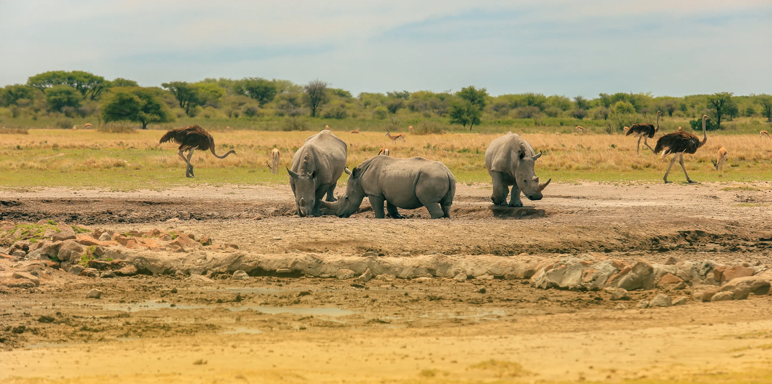 3 Days ( Tarangire / Ngorongoro Crater/ Lake Manyara)