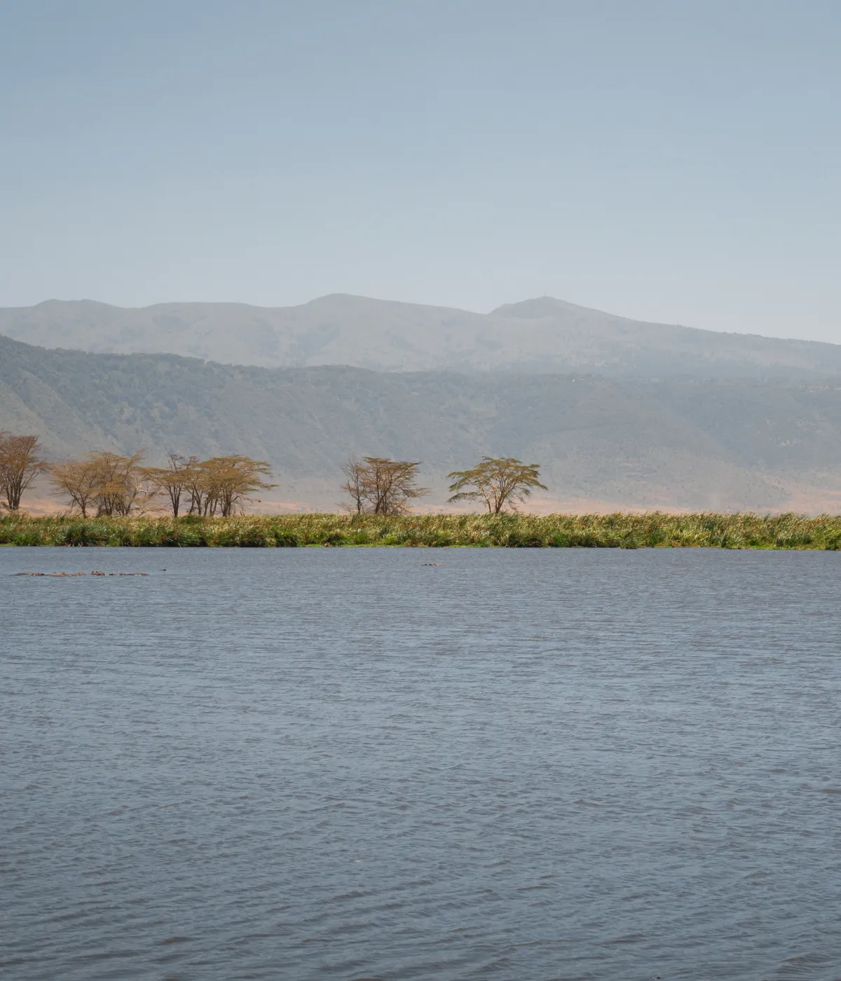 Ngorongoro crater Attraction