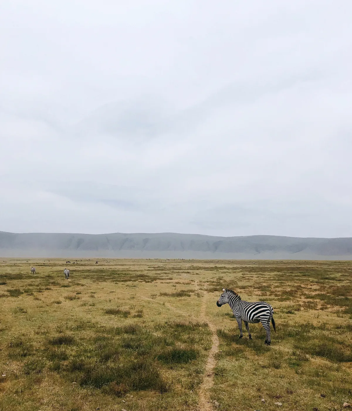 Tarangire National Park Attraction