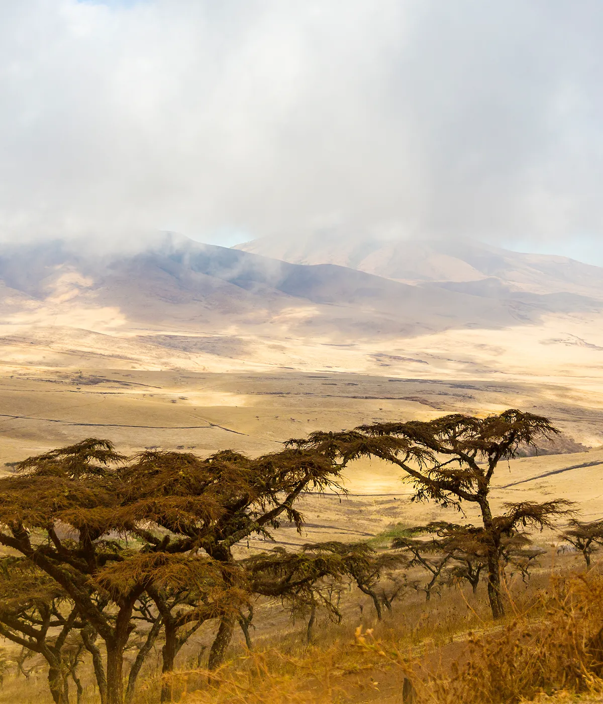 Ngorongoro Crater Attraction