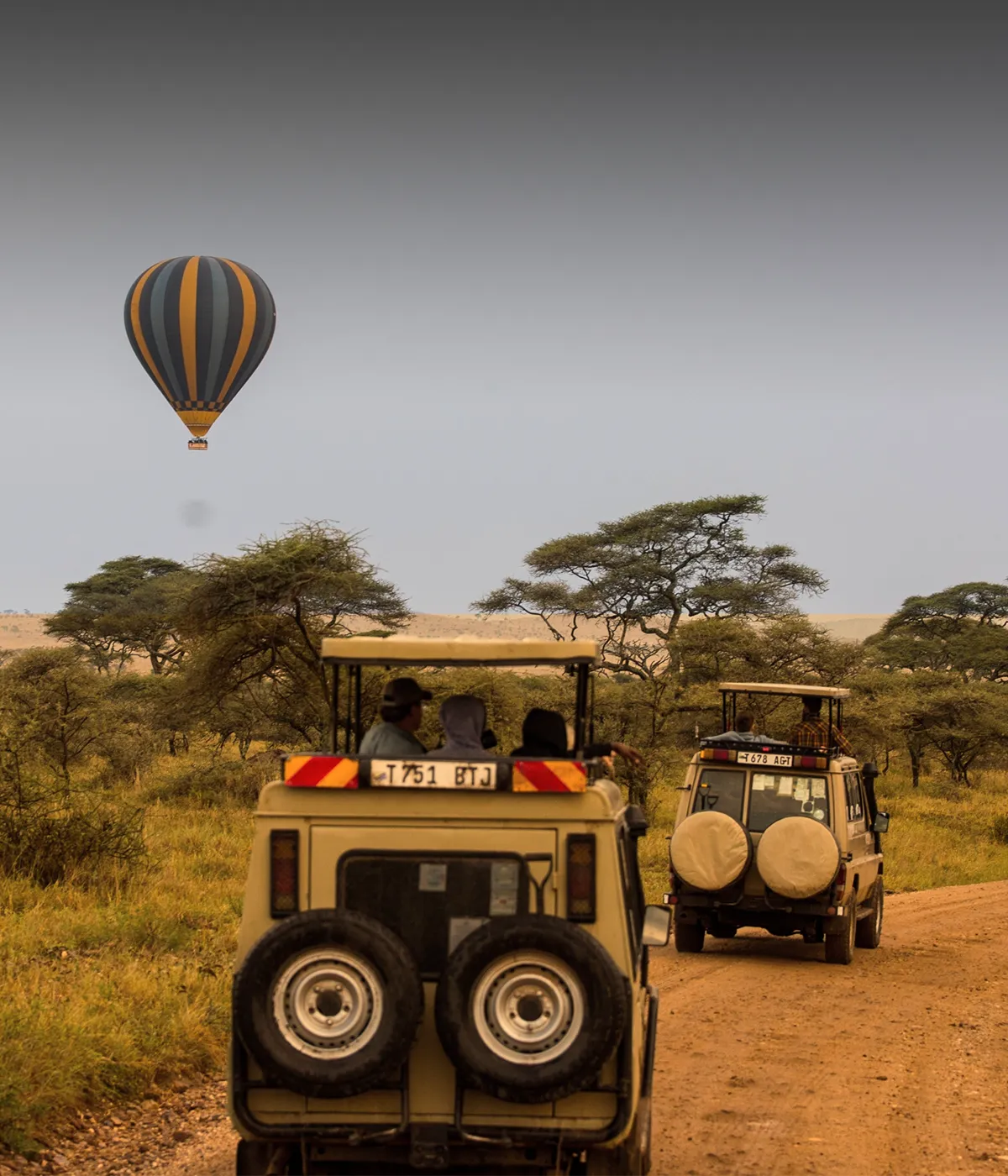 Serengeti National Park Game Drive