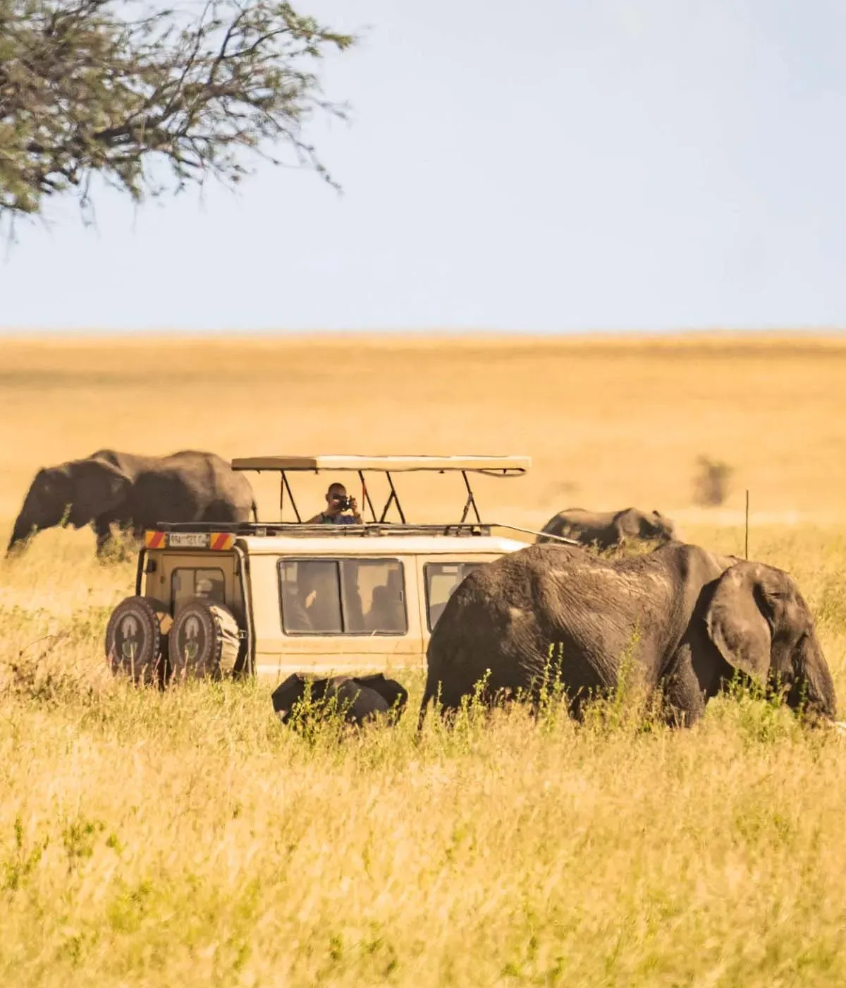 Tarangire - Serengeti Attractions
