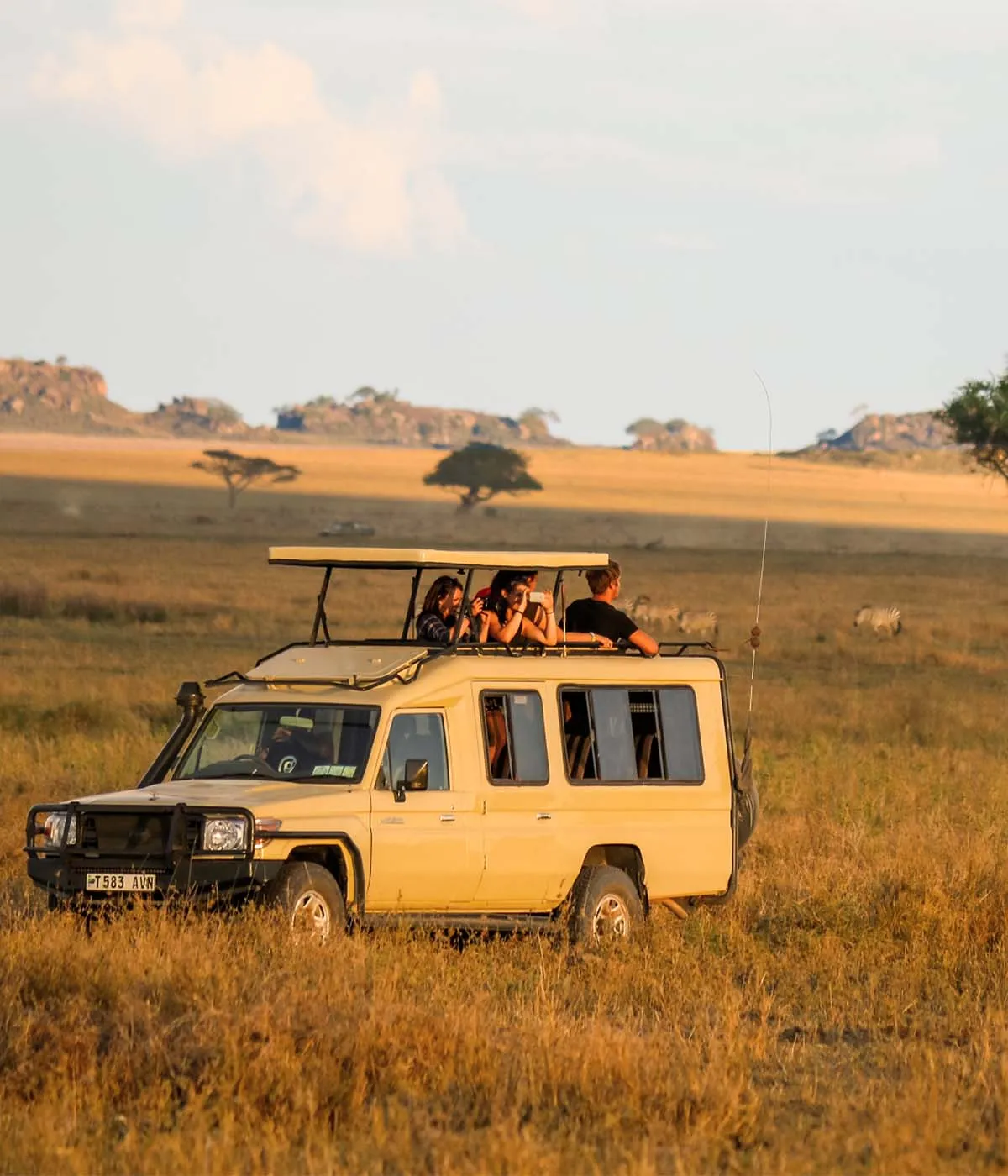 Tarangire - Serengeti Wildlife