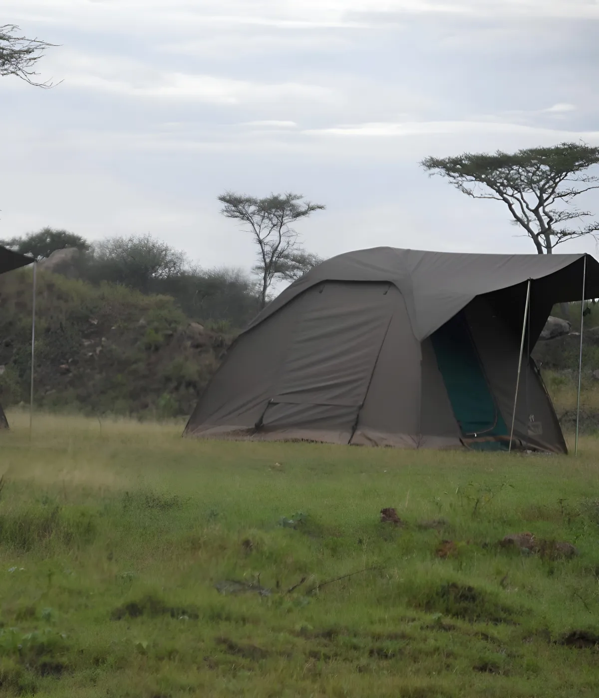  Ngorongoro Crater Safari Camp