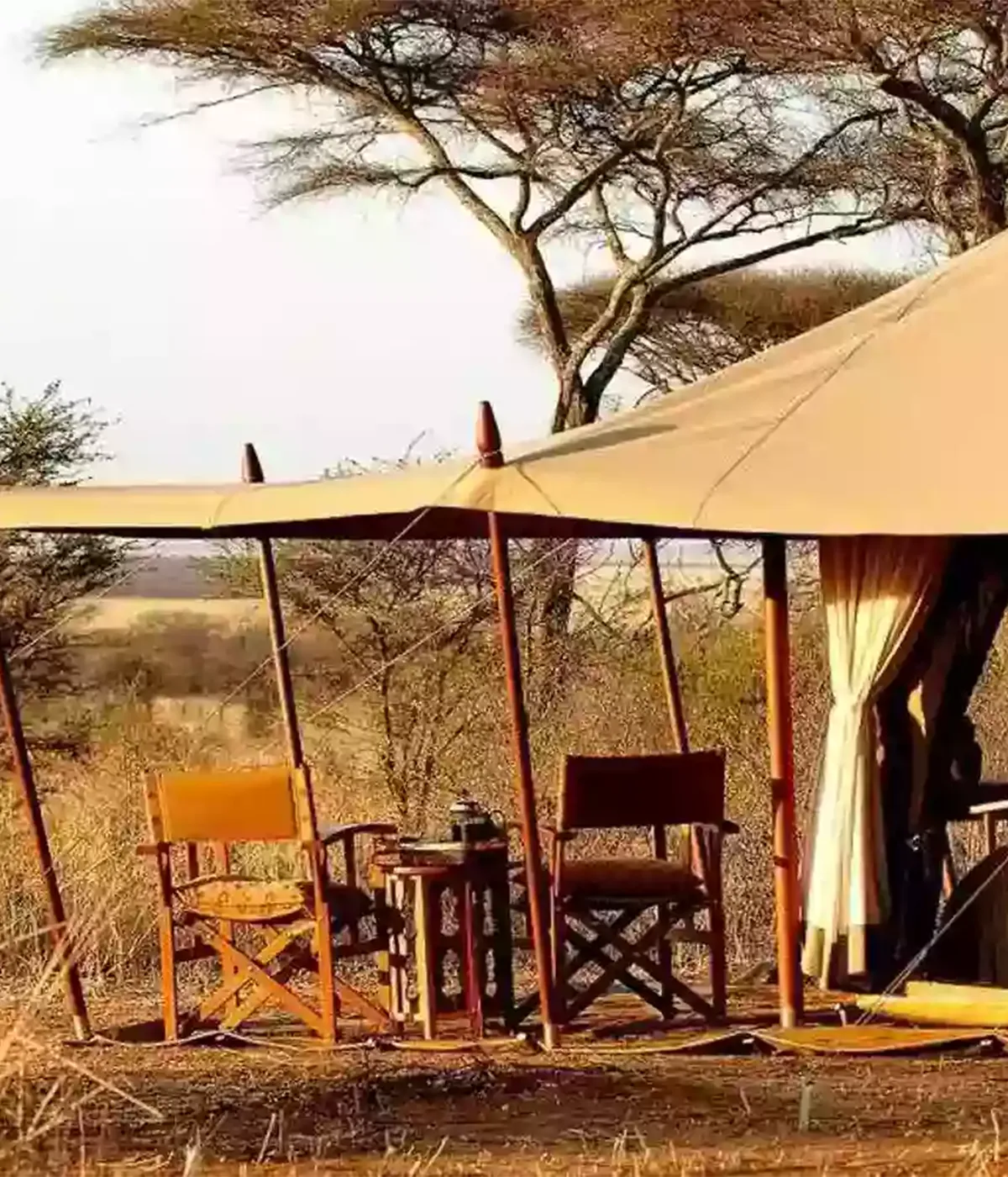  Ngorongoro Crater Camping Safari