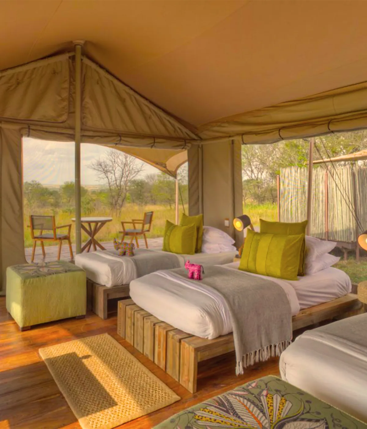 Luxury camps in Tarangire