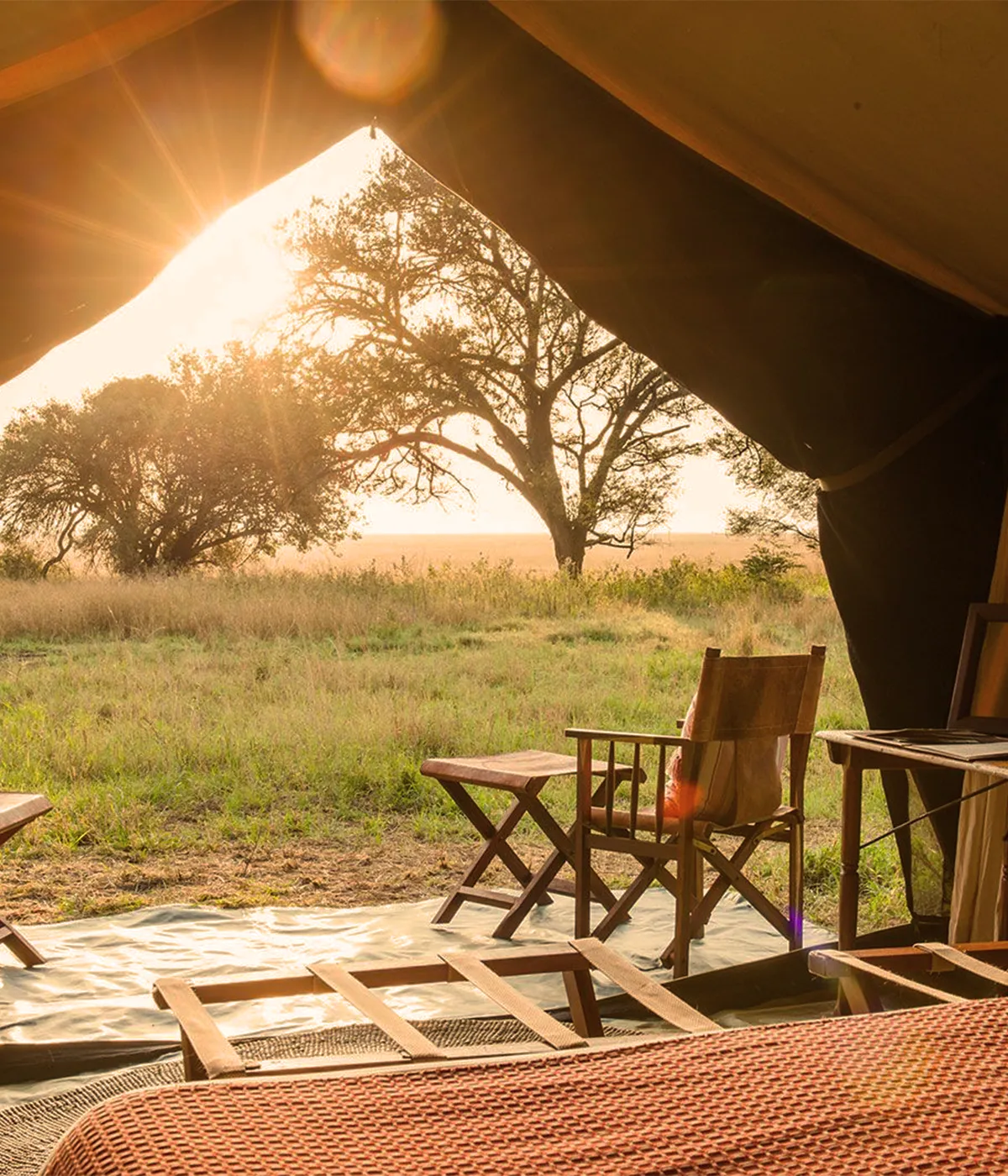 Tarangire Safari Camp 