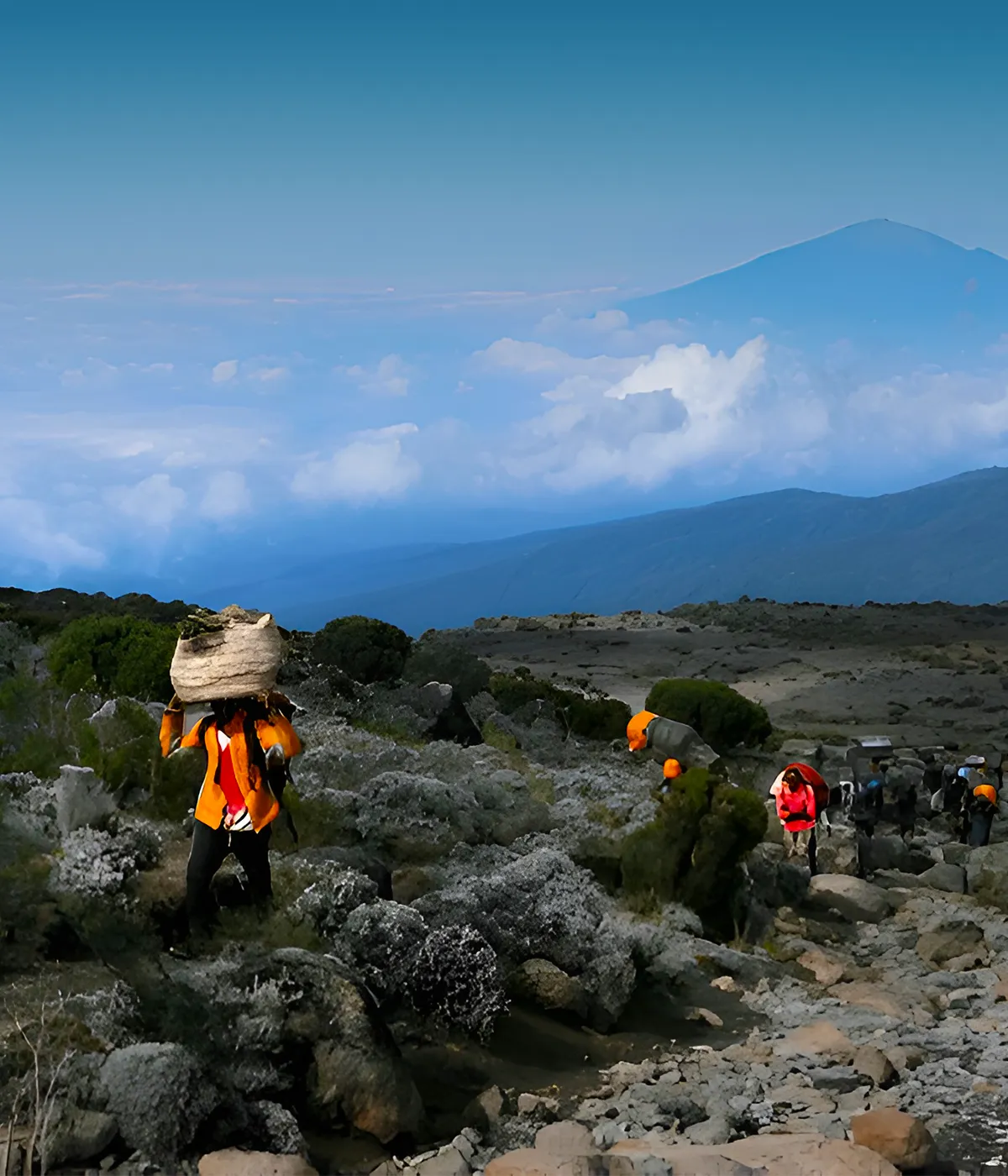 Marangu Route Trekking
