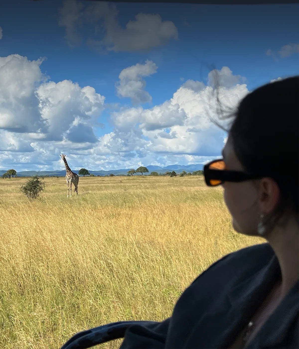 Ngorongoro crater Wildlife