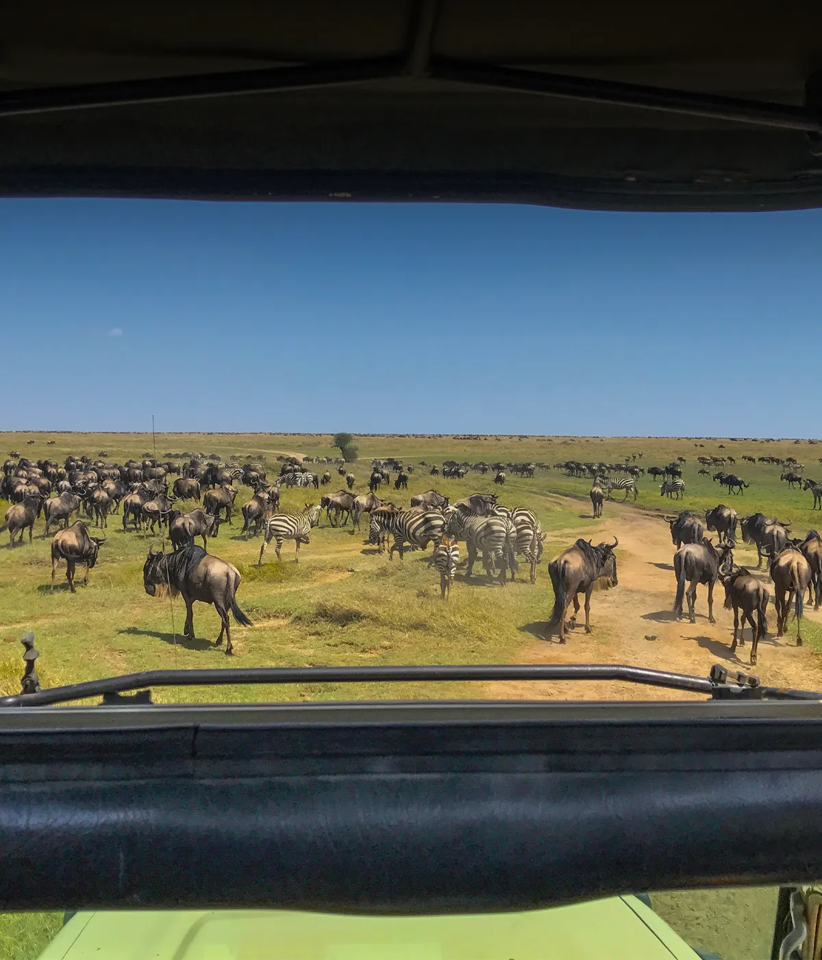 Serengeti National Park Attractions