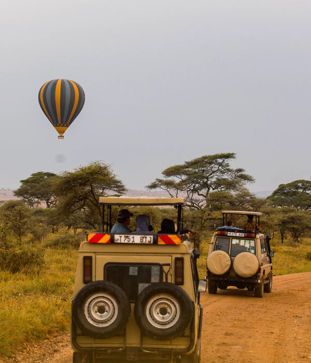 Serengeti – Ngorongoro Wildlife