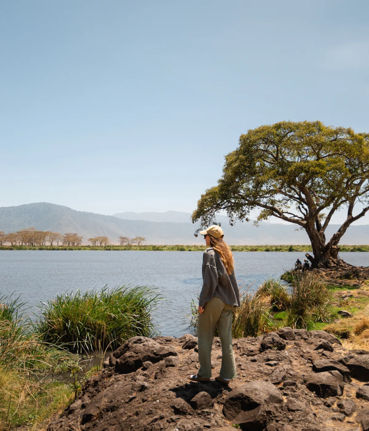 Ngorongoro crater Wildlife