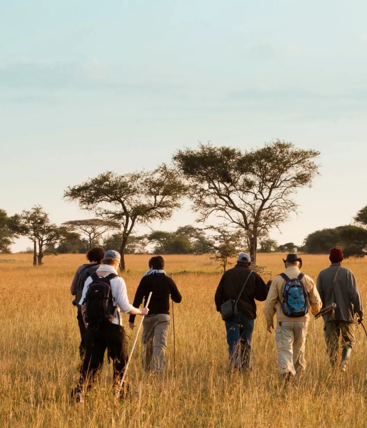 Tarangire - Serengeti Attractions