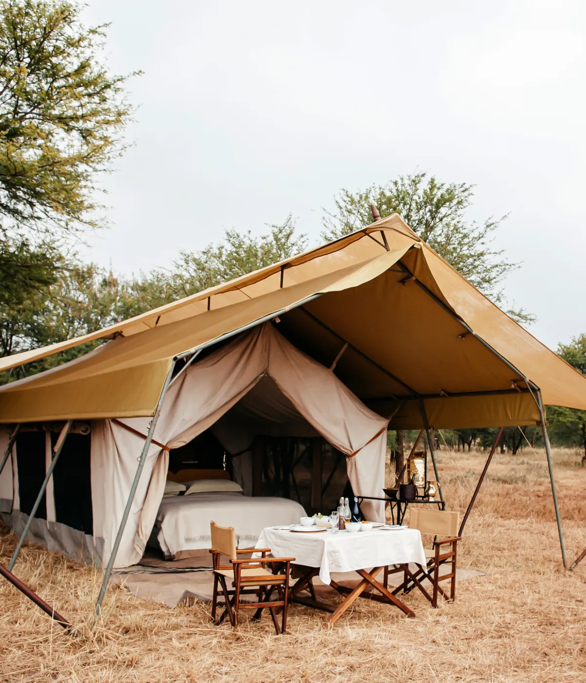 Serengeti Game Drive