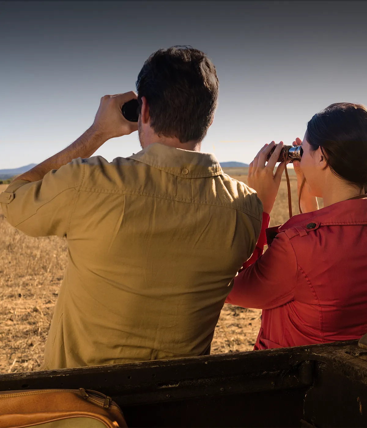 Serengeti National Park Scene viewing