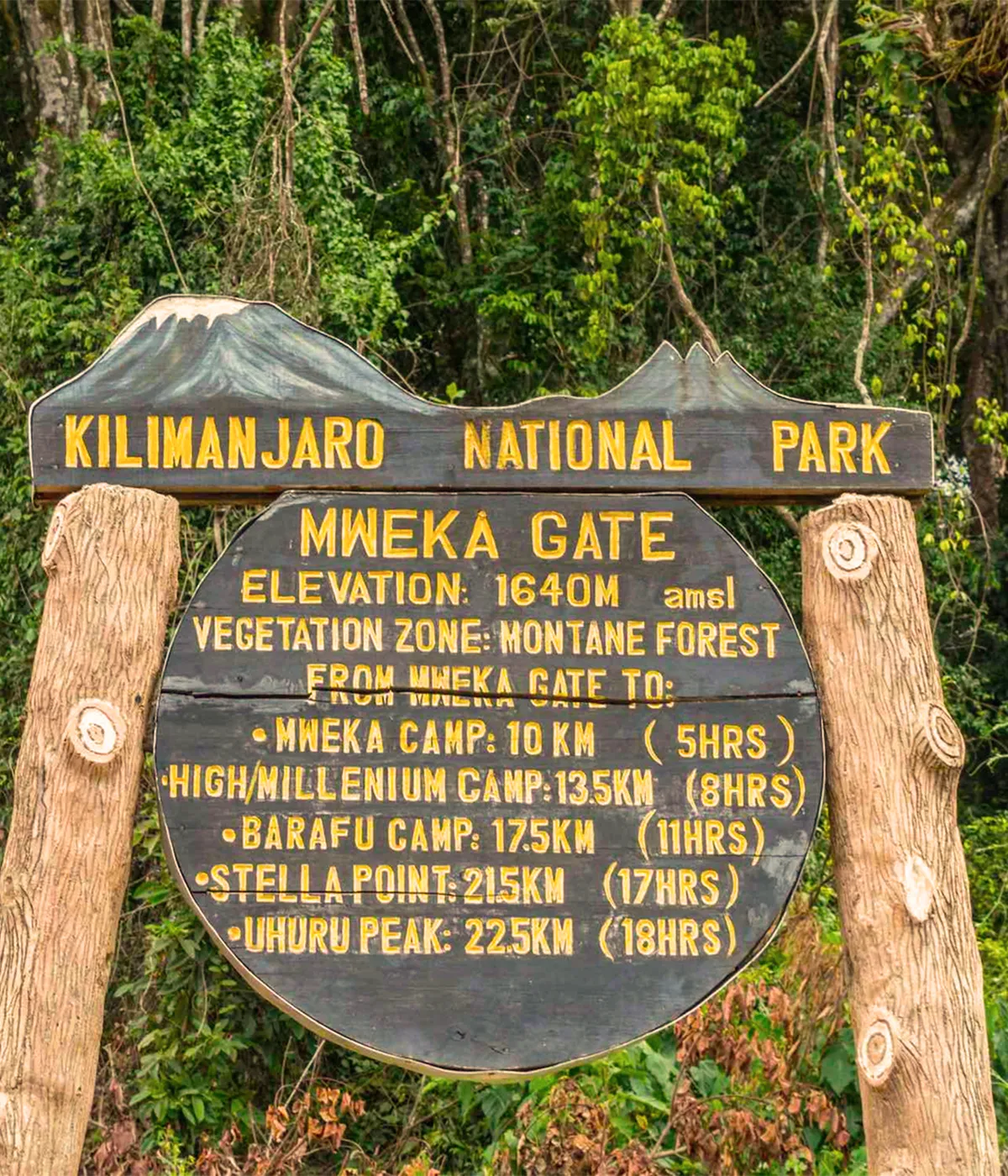Mweka Gate