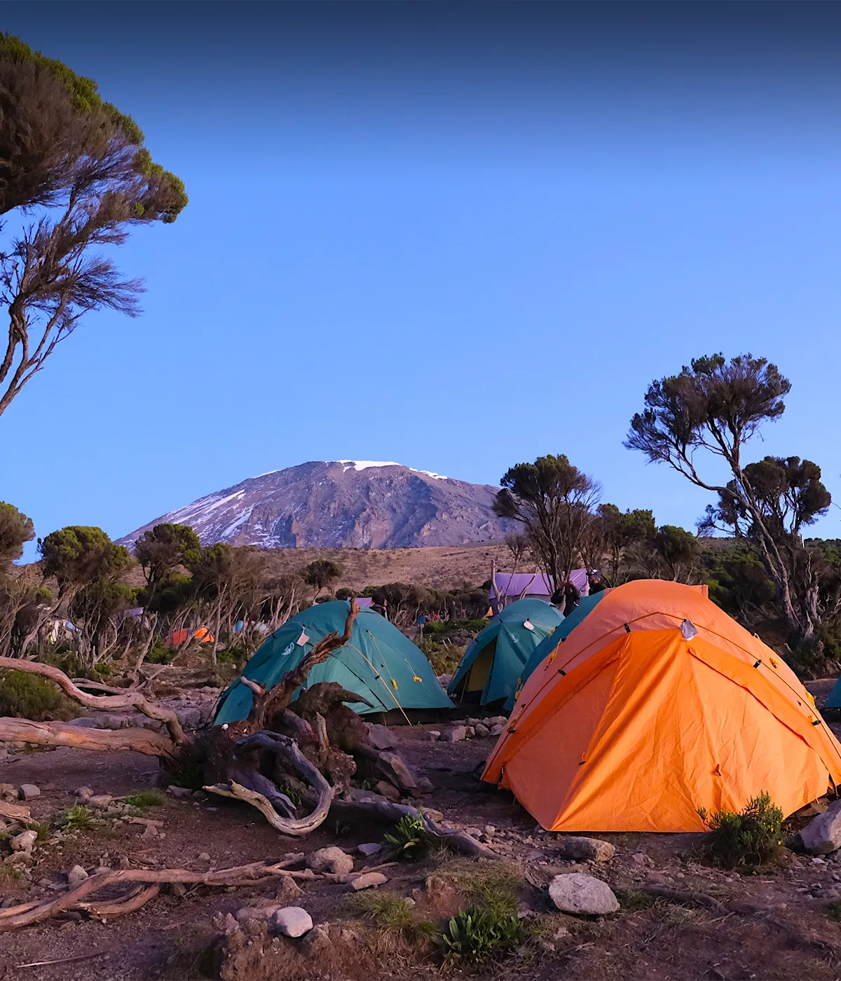 Mweka Camp