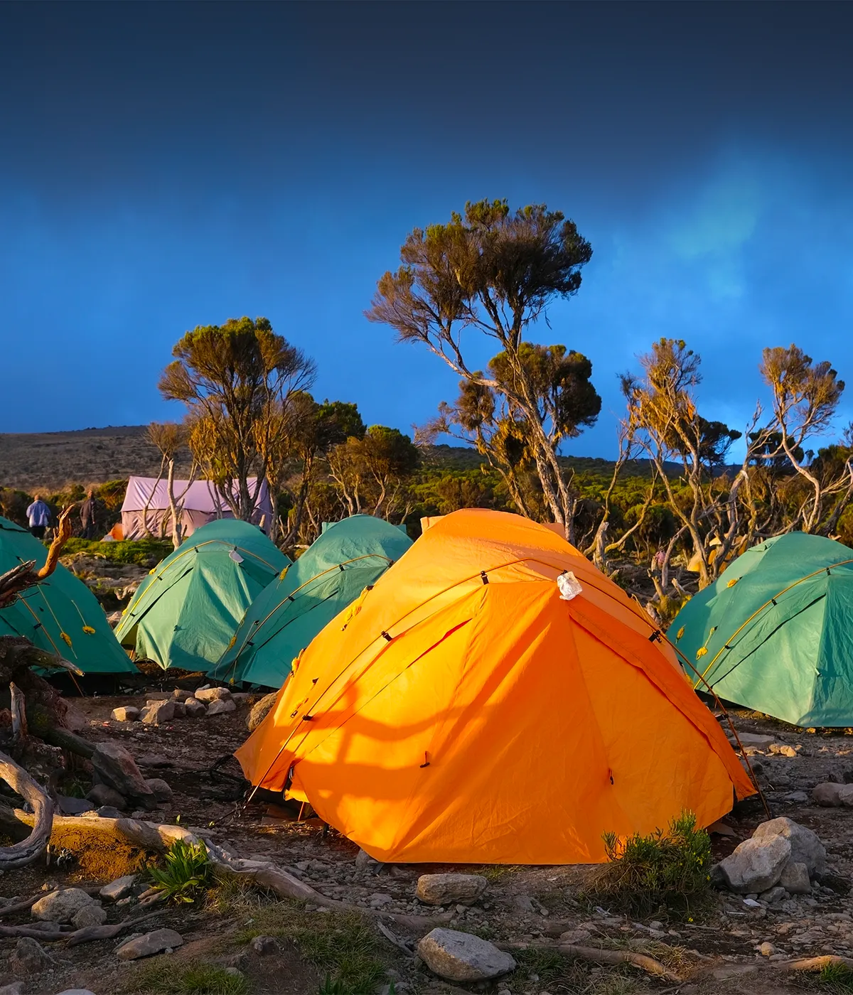 Mweka Campsite