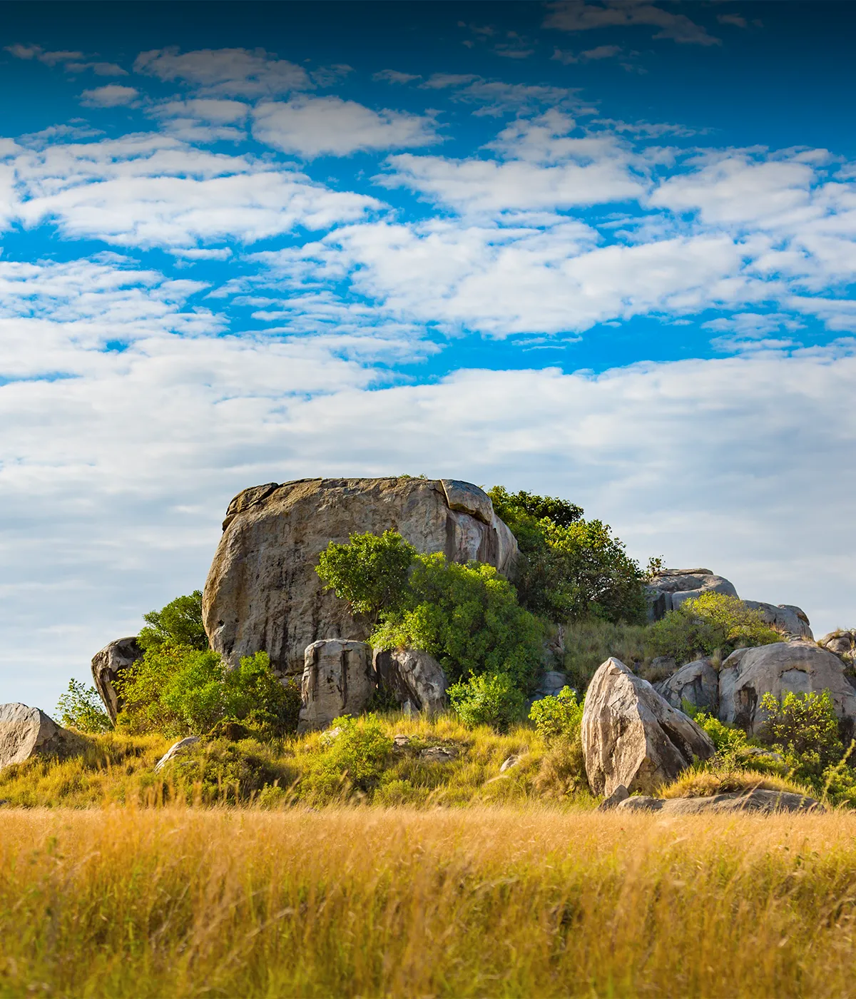 Central Serengeti Attraction