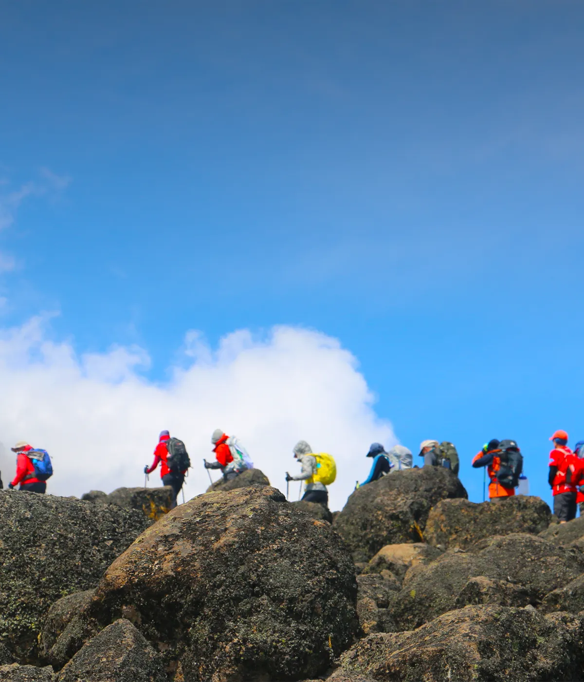 Kibo Hut Trekking