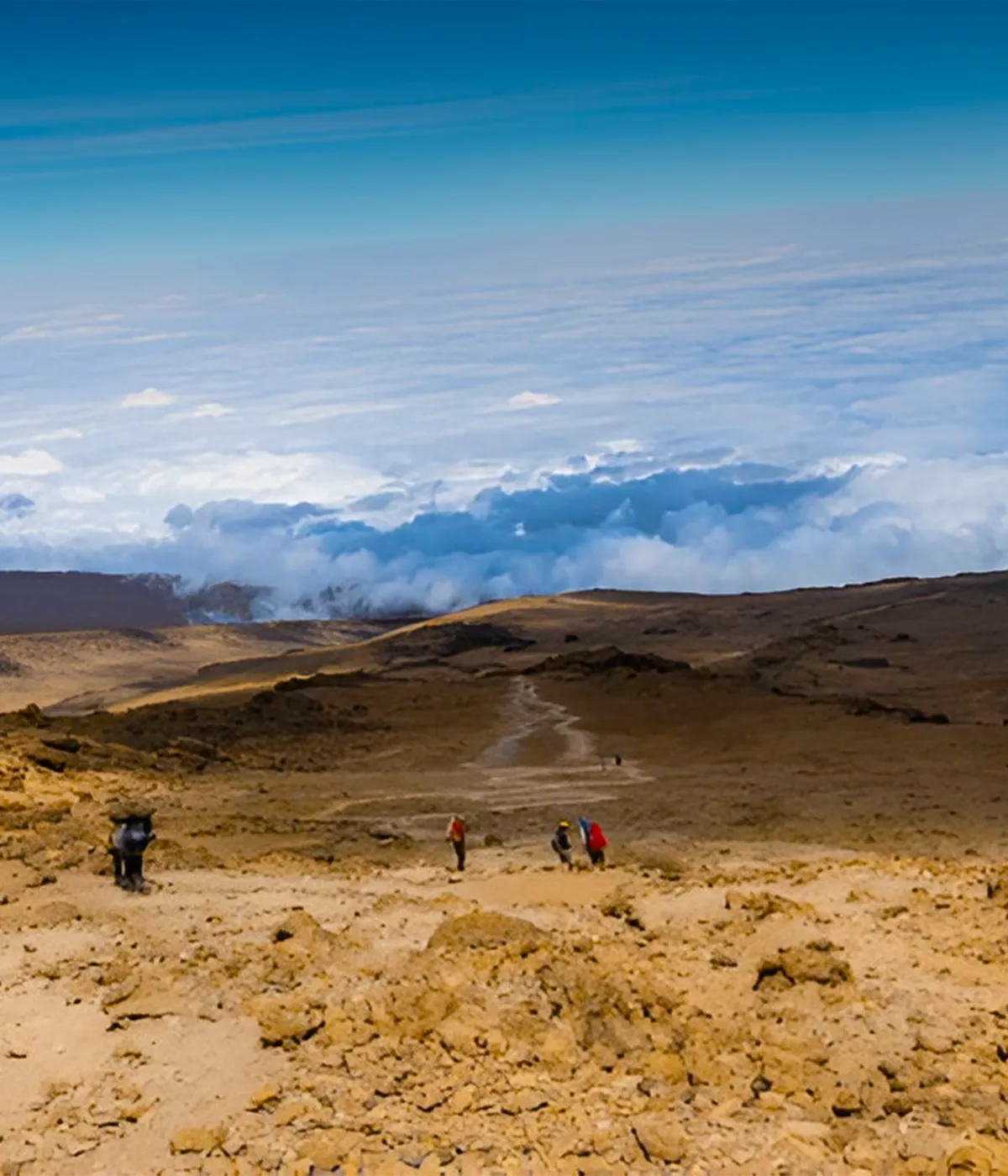 Horombo Hut Trekking