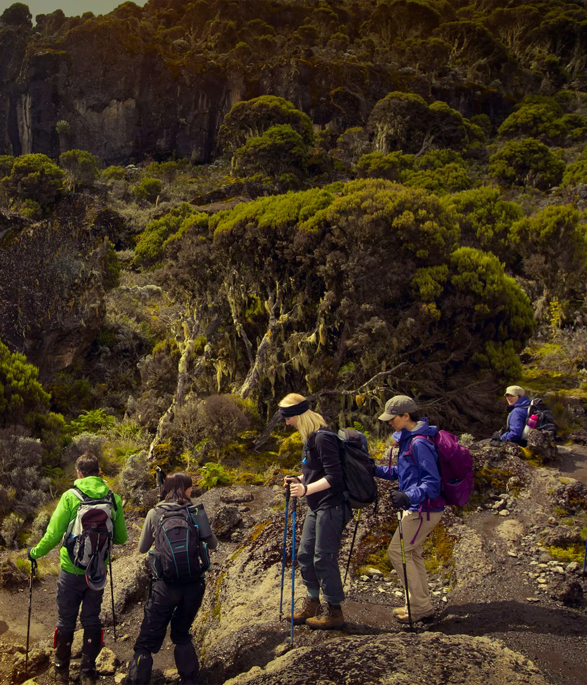 Rongai Route Trekking
