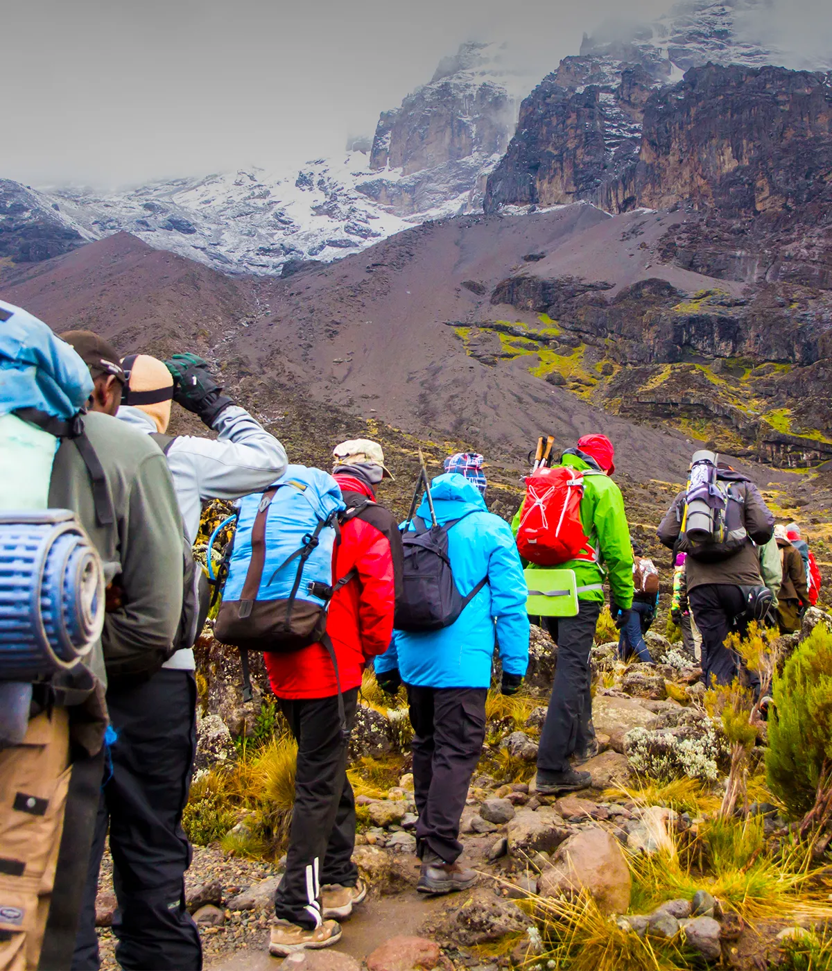 Simba Camp Trekking