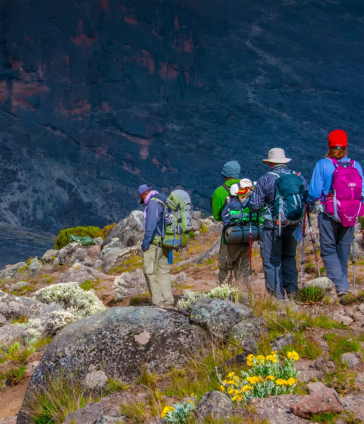 Mount Kilimanjaro Trekking