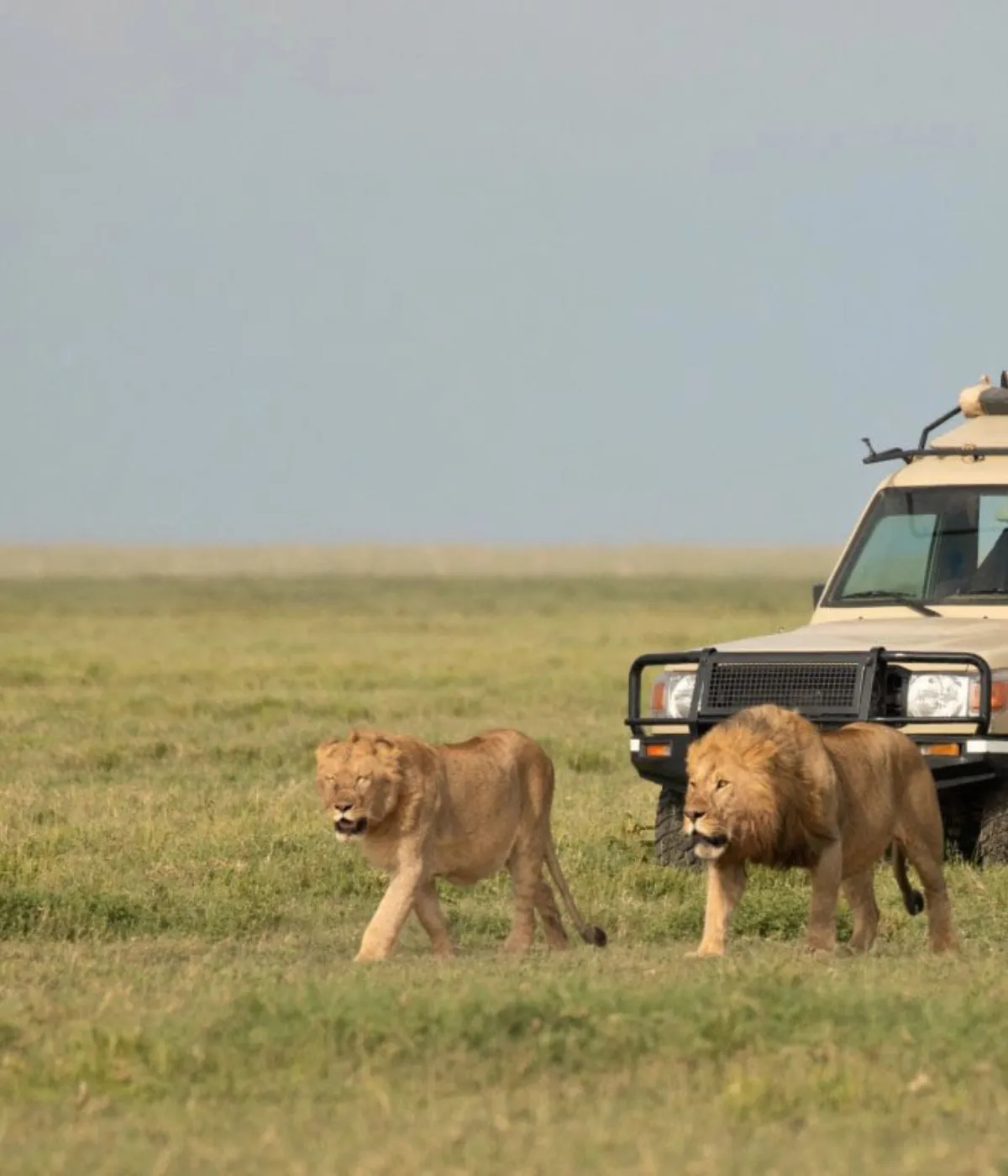 Arusha- Tarangire Photography