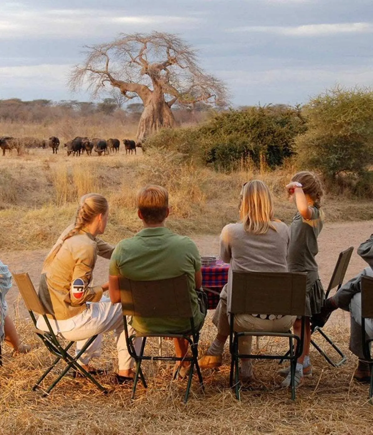 Tarangire - Serengeti Attractions