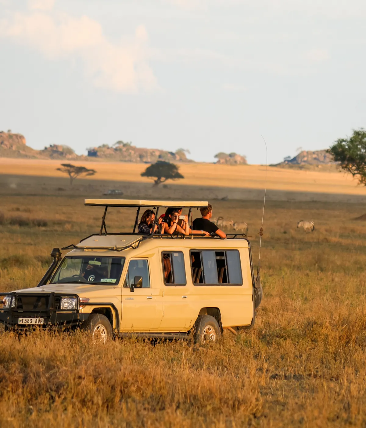 Serengeti Game Drive