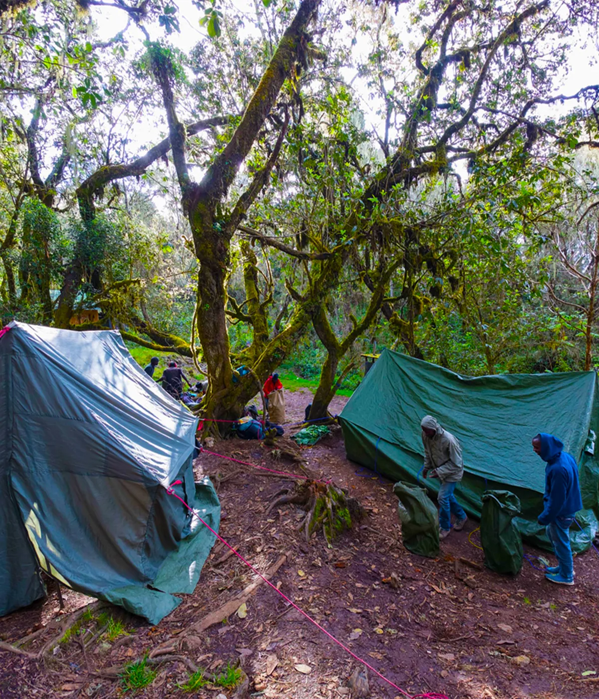 Umbwe Camp