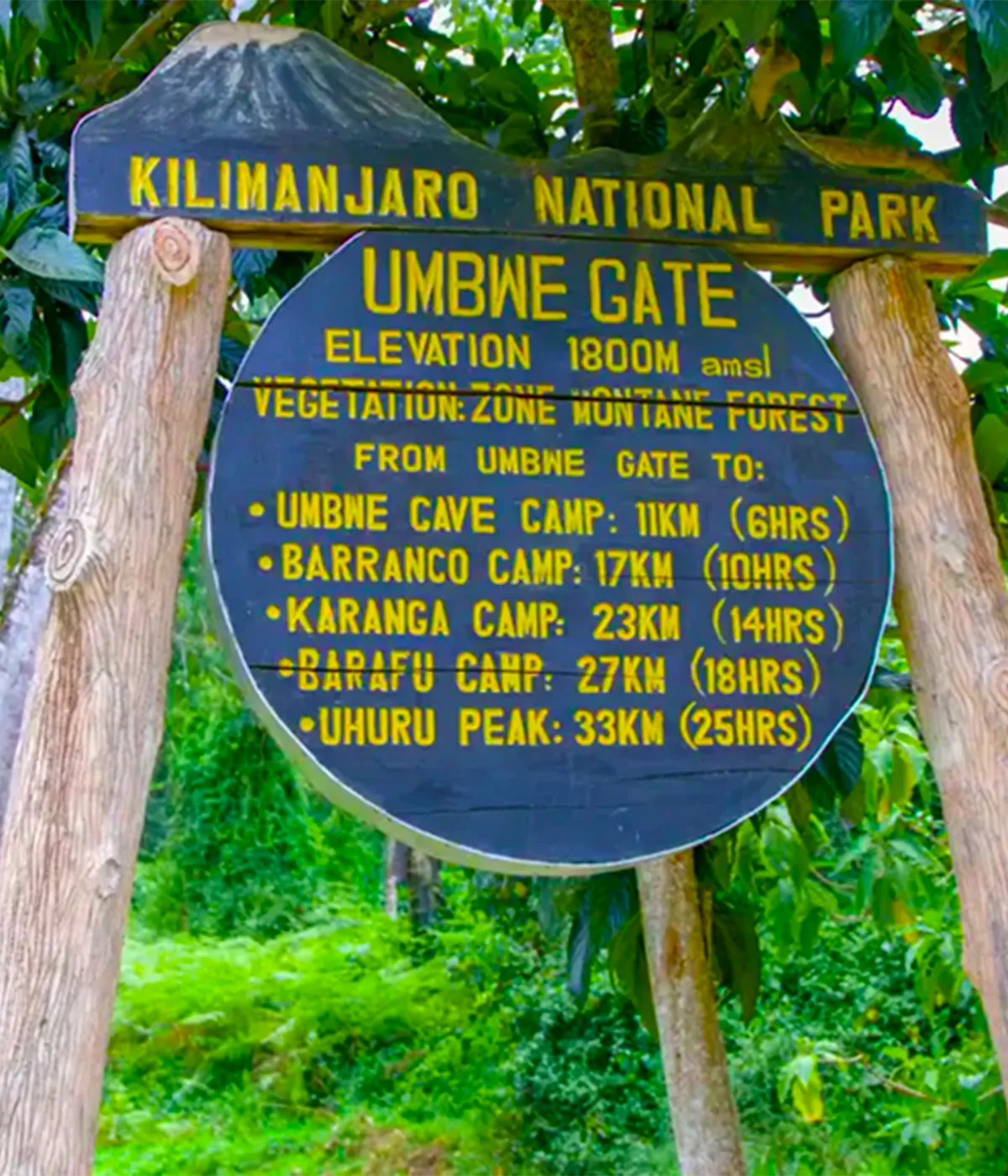 Kilimanjaro National Park