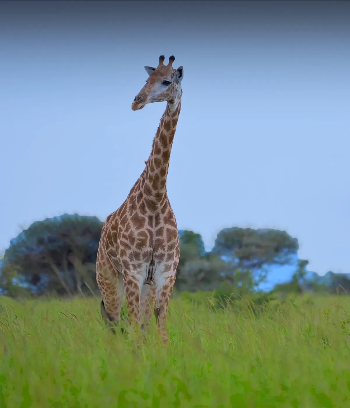 Arusha National Park Attractions