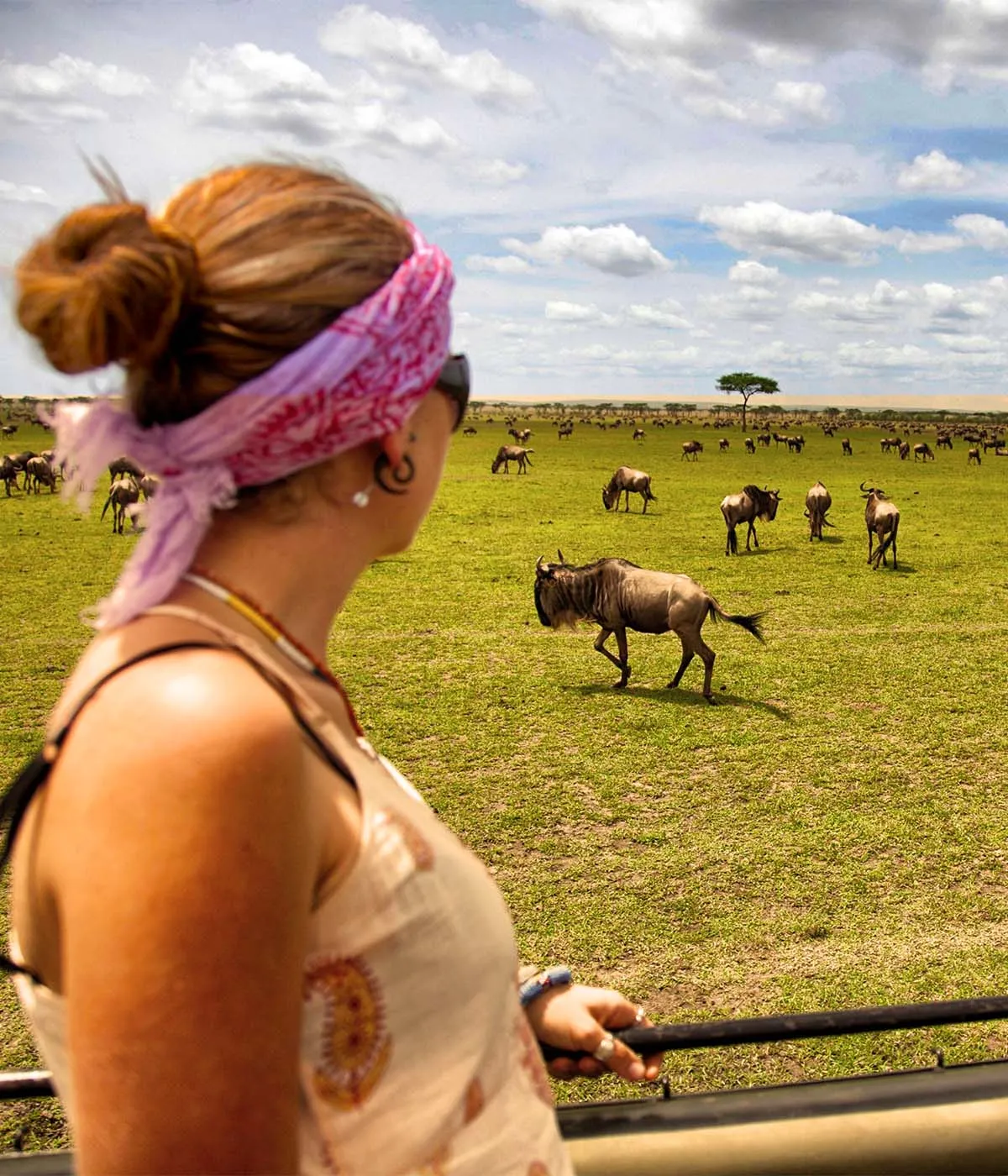 Serengeti - Ngorongoro Game Drives