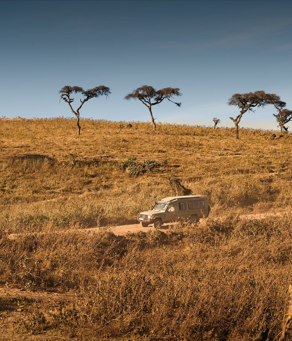 Arusha National Park Wildlife