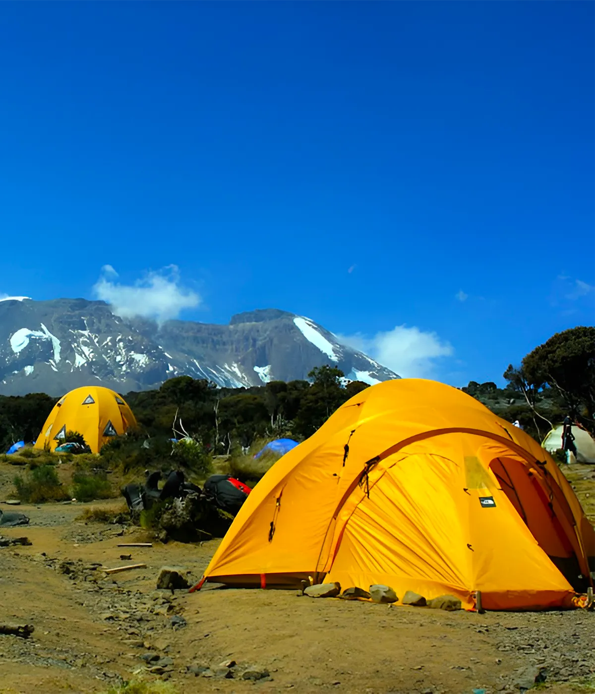 Mti Mkubwa Camp